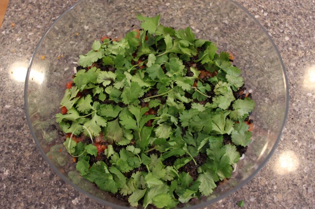 Layer 10 - Fresh Cilantro.jpg Layer 10 - Fresh Cilantro